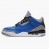 Air Jordan 3 Retro Varsity Royal Cement Varsity Royal/Varsity Royal CT8532-400