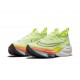 Pánské Nike Air Zoom Alphafly Next 2 Green White Obuv