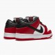 Nike SB Dunk Low J Pack Chicago BQ6817 600 Dámské a pánské Běžné boty